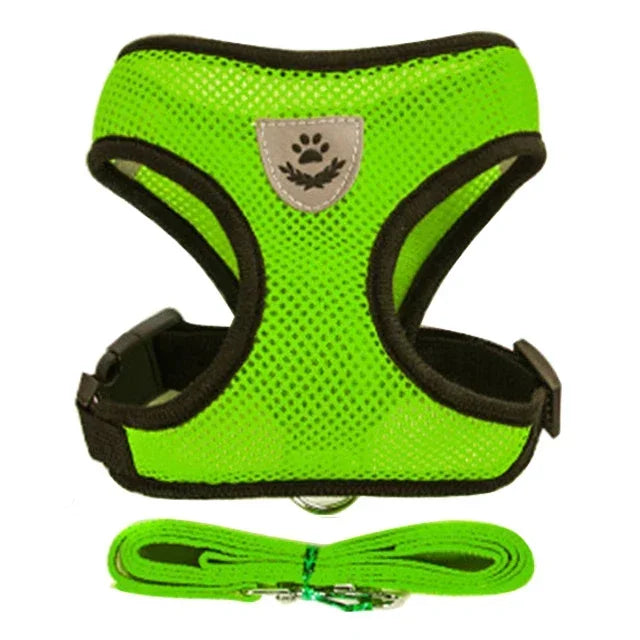 Adjustable Mesh Pet Harness with Leash, Polyester Vest Type Walking Strap for Small Medium Cats Dogs