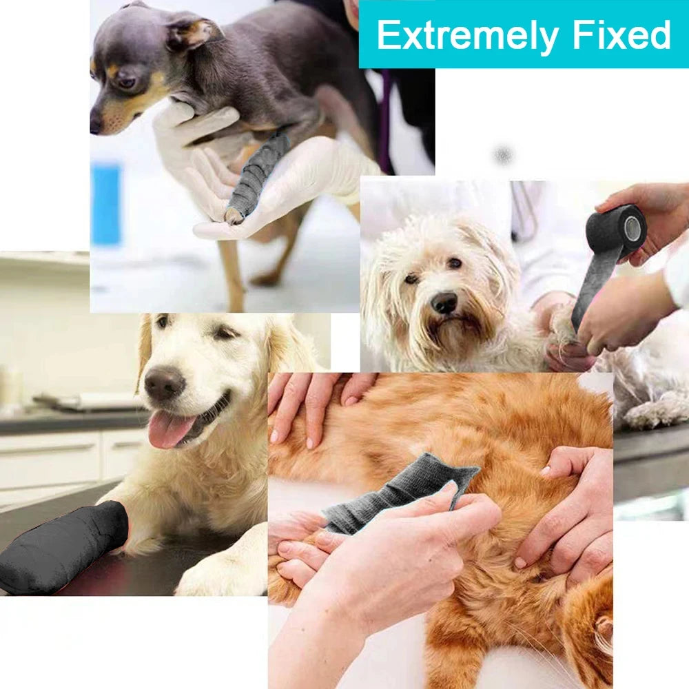 Self-Adhesive Elastic Athletic Wrap Tape – 10 Rolls