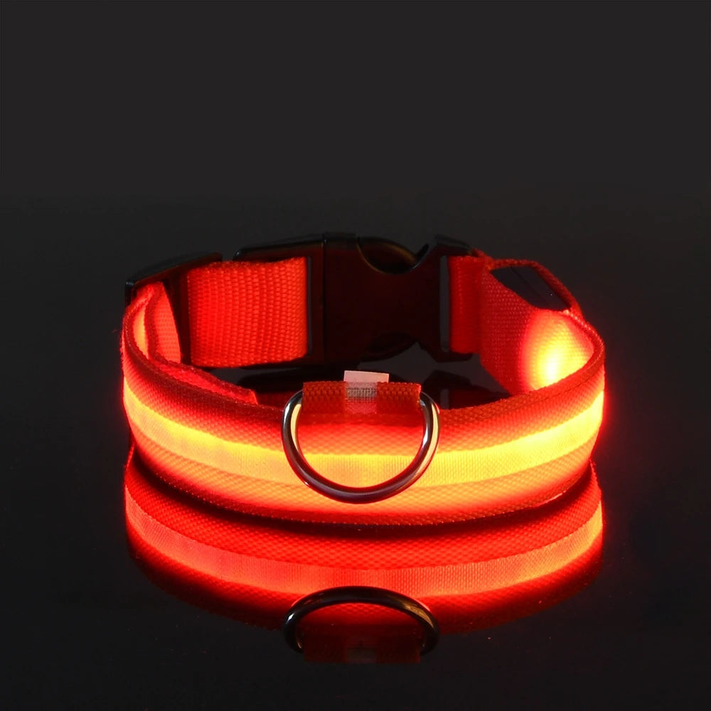 LED Glow-in-the-Dark Nylon Dog Leash for Night Safety