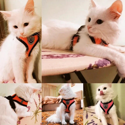 Adjustable Mesh Pet Harness with Leash, Polyester Vest Type Walking Strap for Small Medium Cats Dogs