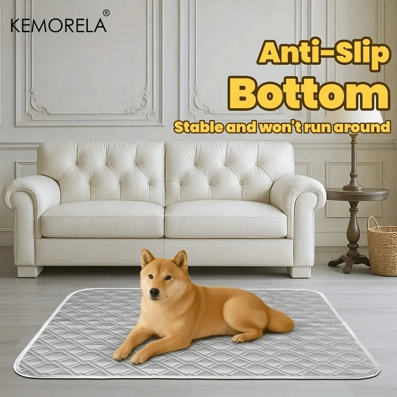 2PCS Washable Reusable Cat and Dog Urine Pads, Training Pads for Large,  Small Pets, for All Seasons, Multiple Sizes Available