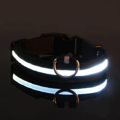 LED Glow-in-the-Dark Nylon Dog Leash for Night Safety