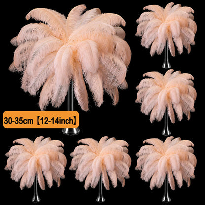 100-300PCS White Ostrich Feathers Bulk Natural Ostrich Feathers for Wedding Party Decorations Table Decorations DIY Crafts