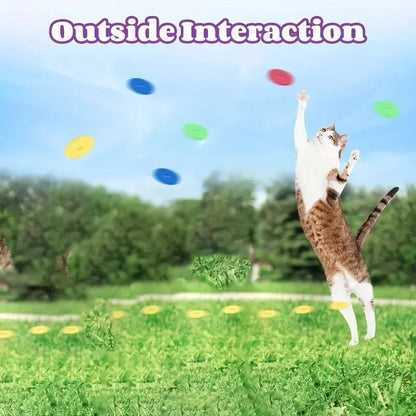 Funny Cat Toys Creative Turnip Gun with 15pcs Reusable Foam Frisbee Pet Hunting Interactive Toy Dog Cat Pet Supplies