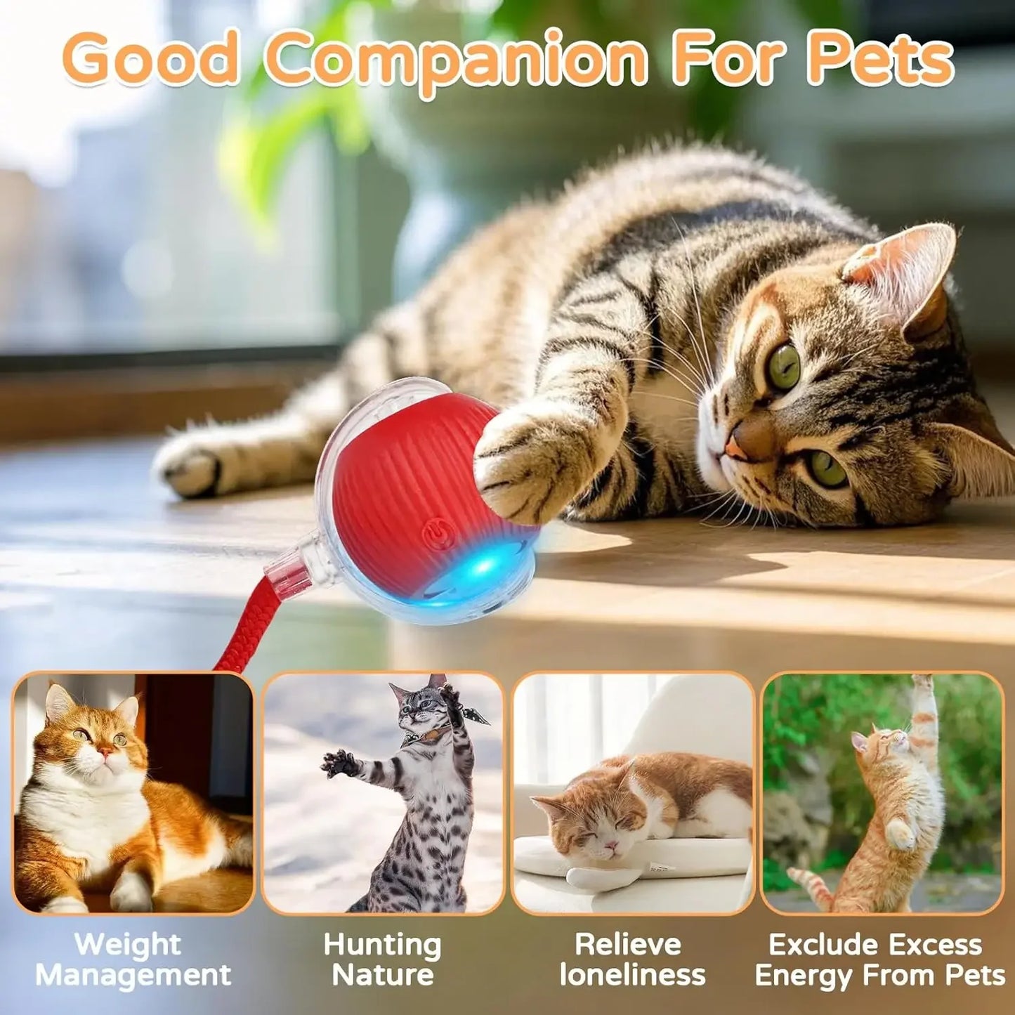 iLMH 1/2 PCS Cat Interactive Ball Toy Automatic Rolling Ball Faux Tail Rechargeable Smart Pet Electric Toy Pet Toy Imitate Mouse