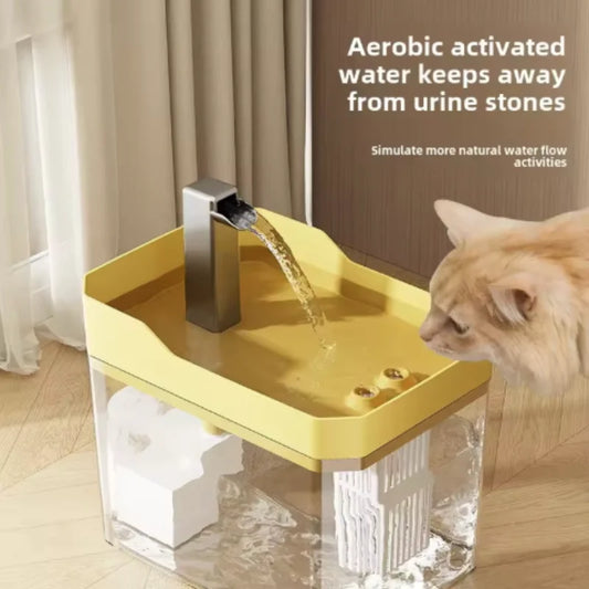 Cat Water Fountain with Auto Filter Transparent Anti-Dry Burning Recirculating Dispenser Includes Pump for Cats