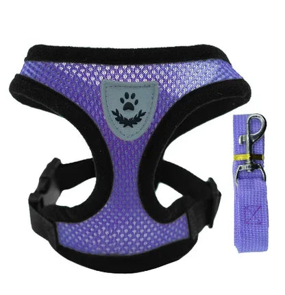 Adjustable Mesh Pet Harness with Leash, Polyester Vest Type Walking Strap for Small Medium Cats Dogs