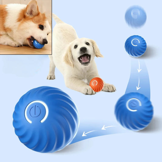 USB Rechargeable Automatic Rolling Ball Dog Toy