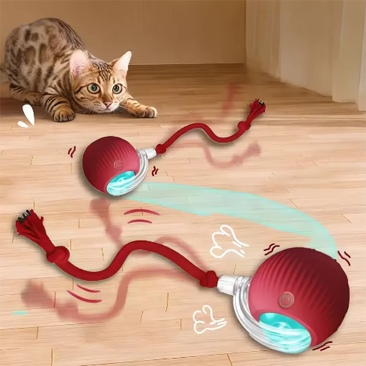 Electric Interactive Ball Toy – Obstacle-Avoidance Pet Toy