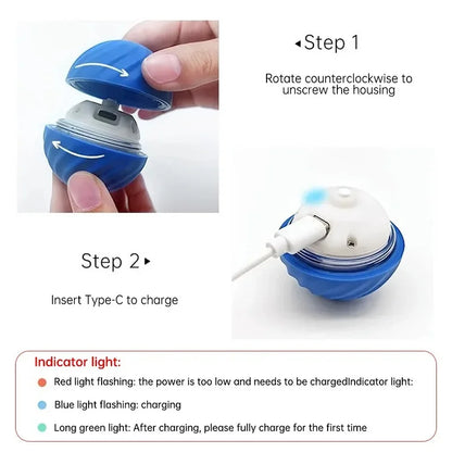 USB Rechargeable Automatic Rolling Ball Dog Toy