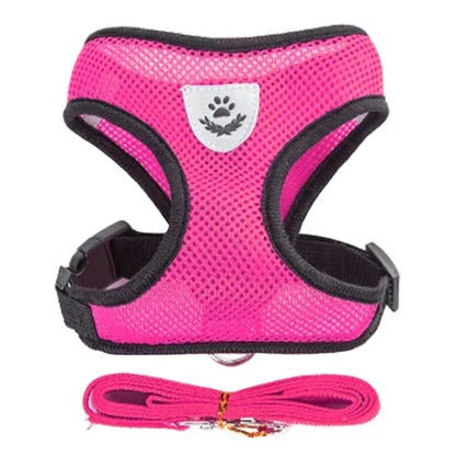 Adjustable Mesh Pet Harness with Leash, Polyester Vest Type Walking Strap for Small Medium Cats Dogs
