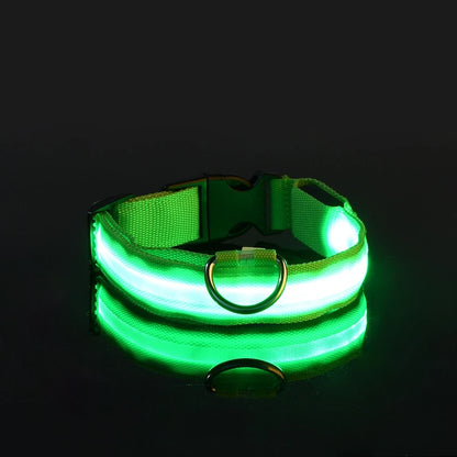 LED Glow-in-the-Dark Nylon Dog Leash for Night Safety