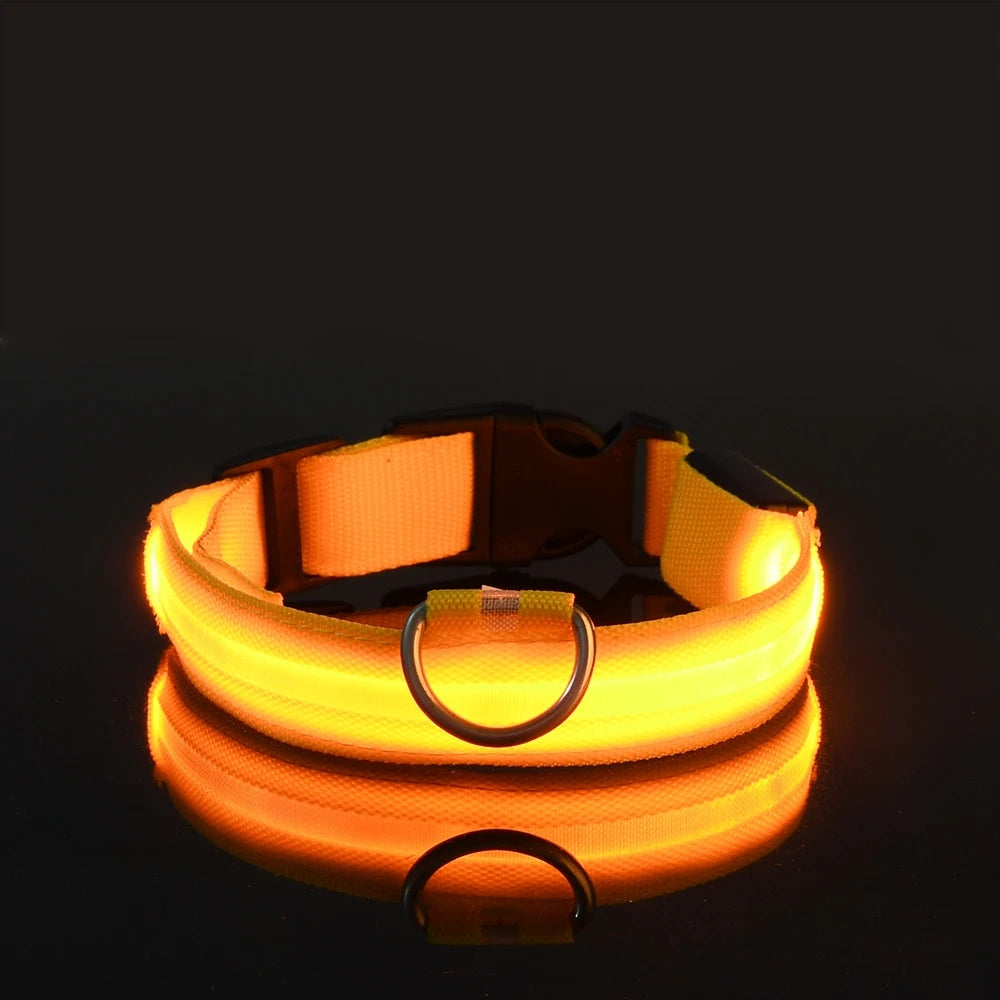 LED Glow-in-the-Dark Nylon Dog Leash for Night Safety