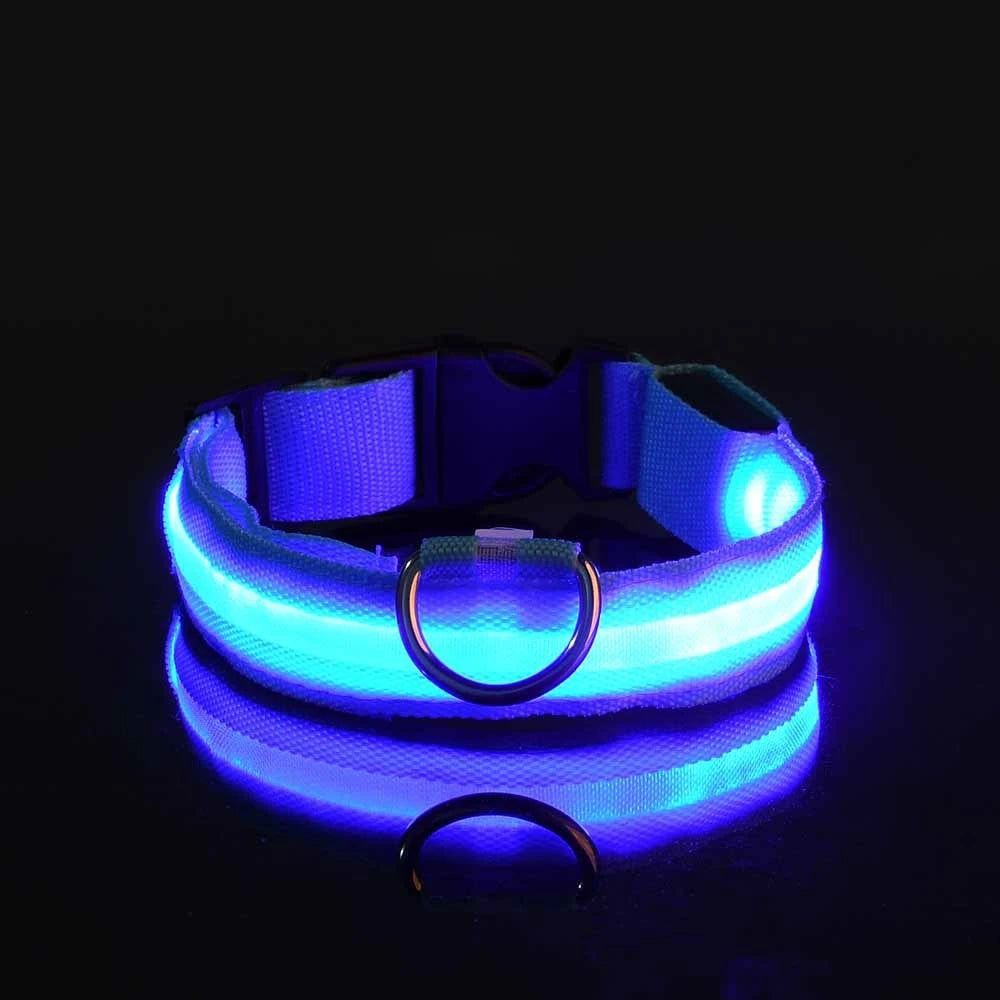 LED Glow-in-the-Dark Nylon Dog Leash for Night Safety
