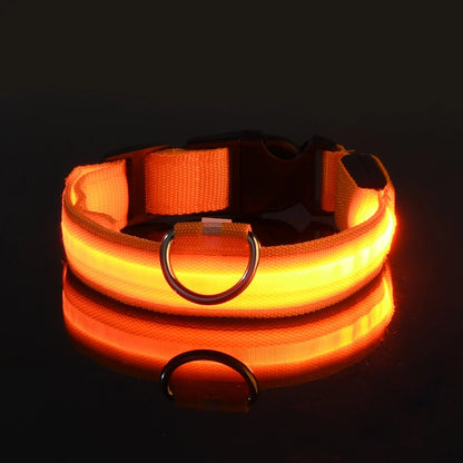 LED Glow-in-the-Dark Nylon Dog Leash for Night Safety