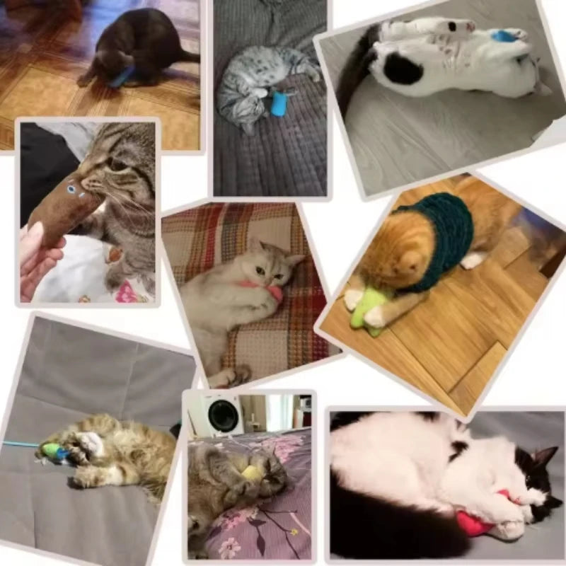 2026 New Teeth Grinding Catnip Toys Funny Interactive Plush Cat Toy Claws Thumb Bite Cat Mint Pet Kitten Chewing Toy For Cats