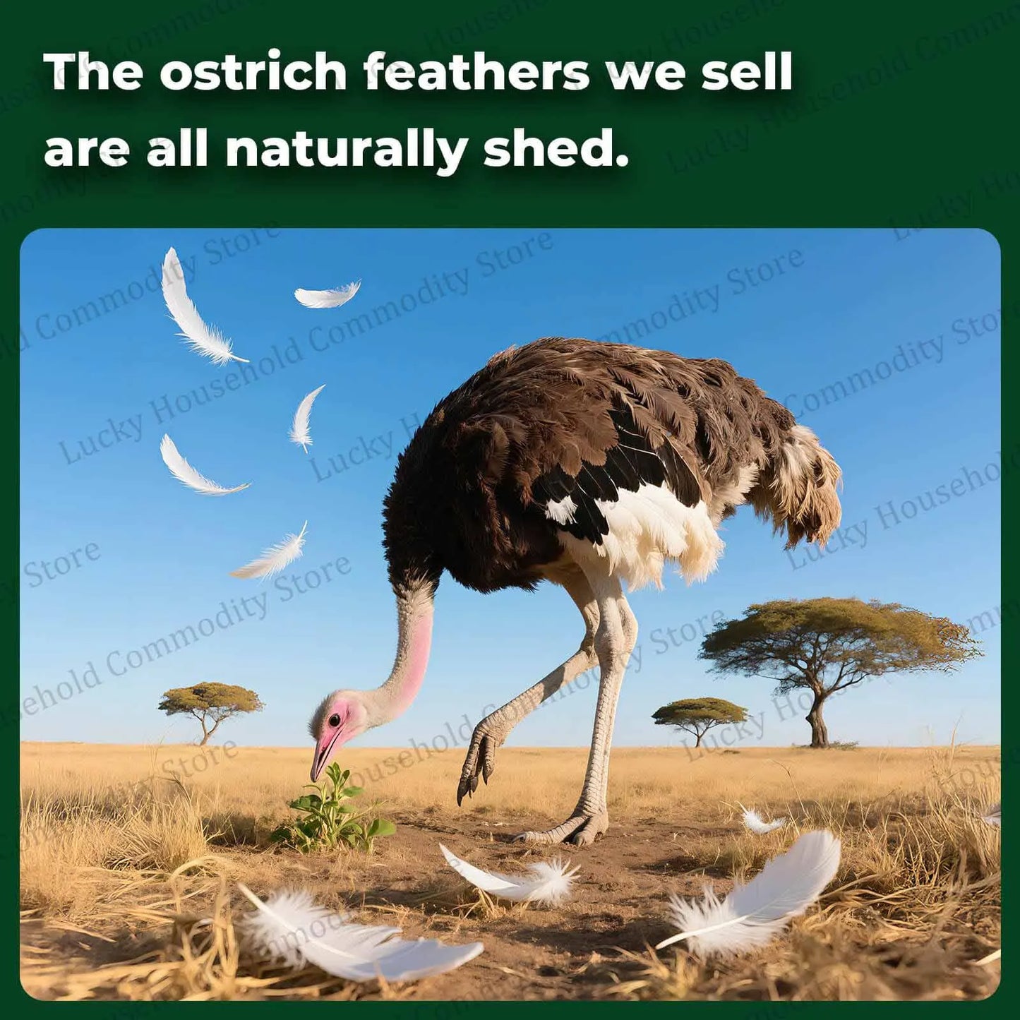 100-300PCS White Ostrich Feathers Bulk Natural Ostrich Feathers for Wedding Party Decorations Table Decorations DIY Crafts