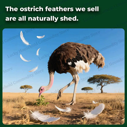 100-300PCS White Ostrich Feathers Bulk Natural Ostrich Feathers for Wedding Party Decorations Table Decorations DIY Crafts