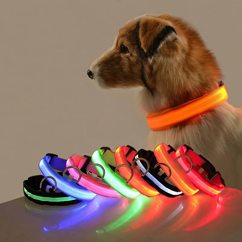 LED Glow-in-the-Dark Nylon Dog Leash for Night Safety