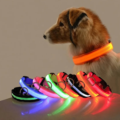 LED Glow-in-the-Dark Nylon Dog Leash for Night Safety