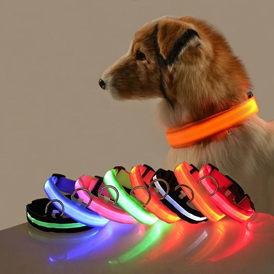 LED Glow-in-the-Dark Nylon Dog Leash for Night Safety