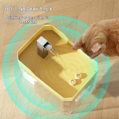 Cat Water Fountain with Auto Filter Transparent Anti-Dry Burning Recirculating Dispenser Includes Pump for Cats