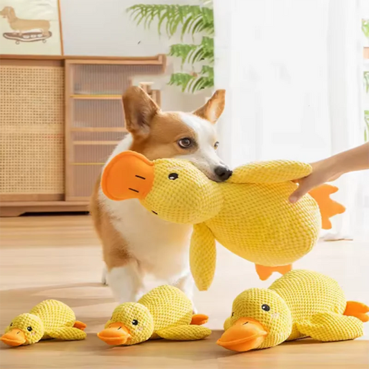 Yellow Duck Squeaky Plush Toy for Dogs