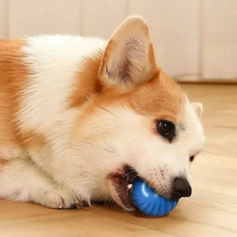 USB Rechargeable Automatic Rolling Ball Dog Toy