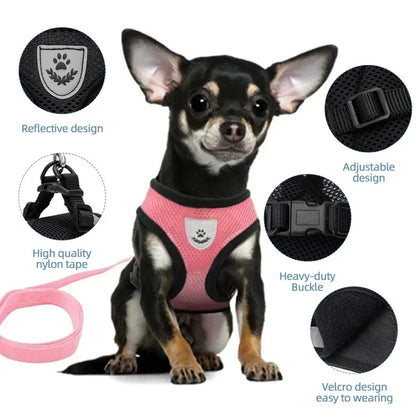 Adjustable Mesh Pet Harness with Leash, Polyester Vest Type Walking Strap for Small Medium Cats Dogs