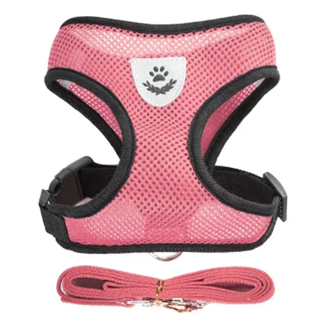 Adjustable Mesh Pet Harness with Leash, Polyester Vest Type Walking Strap for Small Medium Cats Dogs