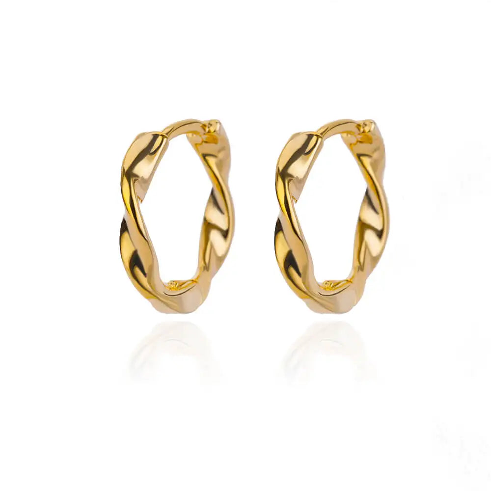 Heart Stainless Steel Earrings for Women – Gold Color Hoop Earring with Zircon, Waterproof & Trendy
