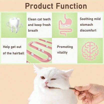 Maiguangta Natural Silvervine Catnip Chew Sticks (12 PC) - Edible Dental Chews For Cats &Amp; Kittens, Teething Relief Teeth Cleaning Toys