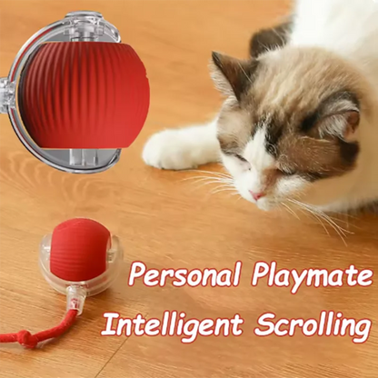 Electric Interactive Ball Toy – Obstacle-Avoidance Pet Toy