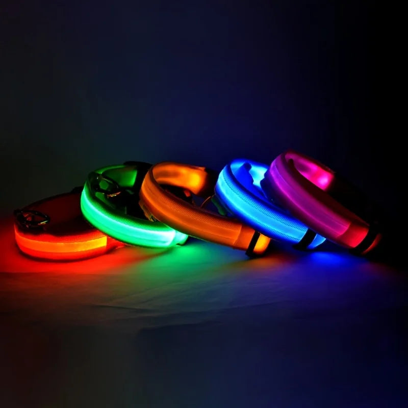 LED Glow-in-the-Dark Nylon Dog Leash for Night Safety