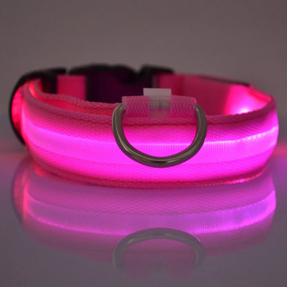 LED Glow-in-the-Dark Nylon Dog Leash for Night Safety
