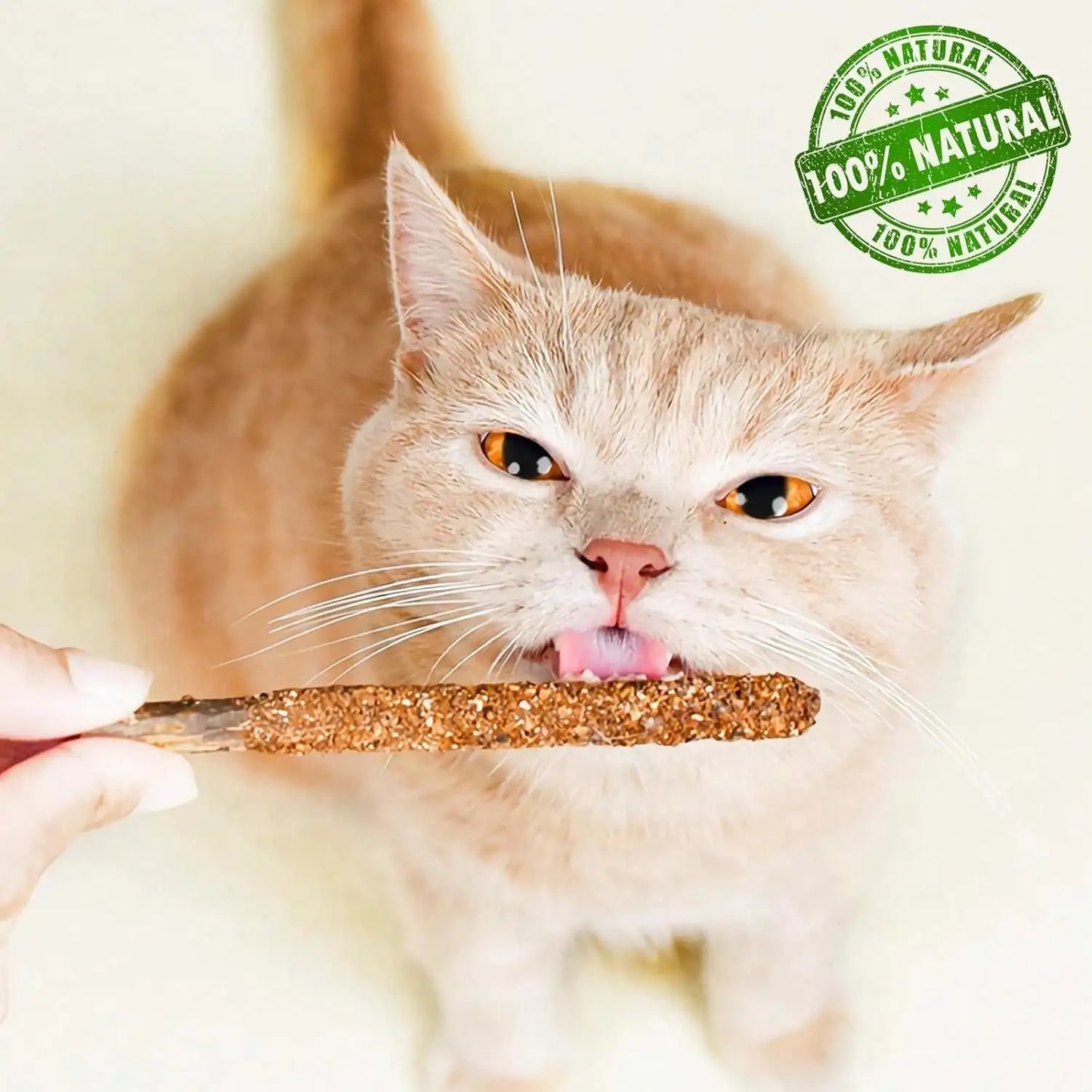 Maiguangta Natural Silvervine Catnip Chew Sticks (12 PC) - Edible Dental Chews For Cats &Amp; Kittens, Teething Relief Teeth Cleaning Toys