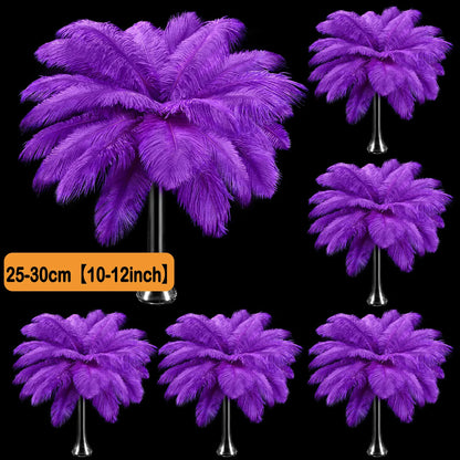 100-300PCS White Ostrich Feathers Bulk Natural Ostrich Feathers for Wedding Party Decorations Table Decorations DIY Crafts