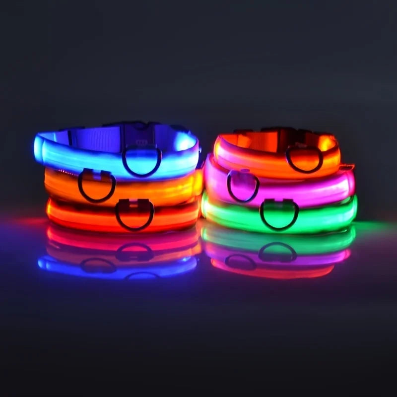 LED Glow-in-the-Dark Nylon Dog Leash for Night Safety