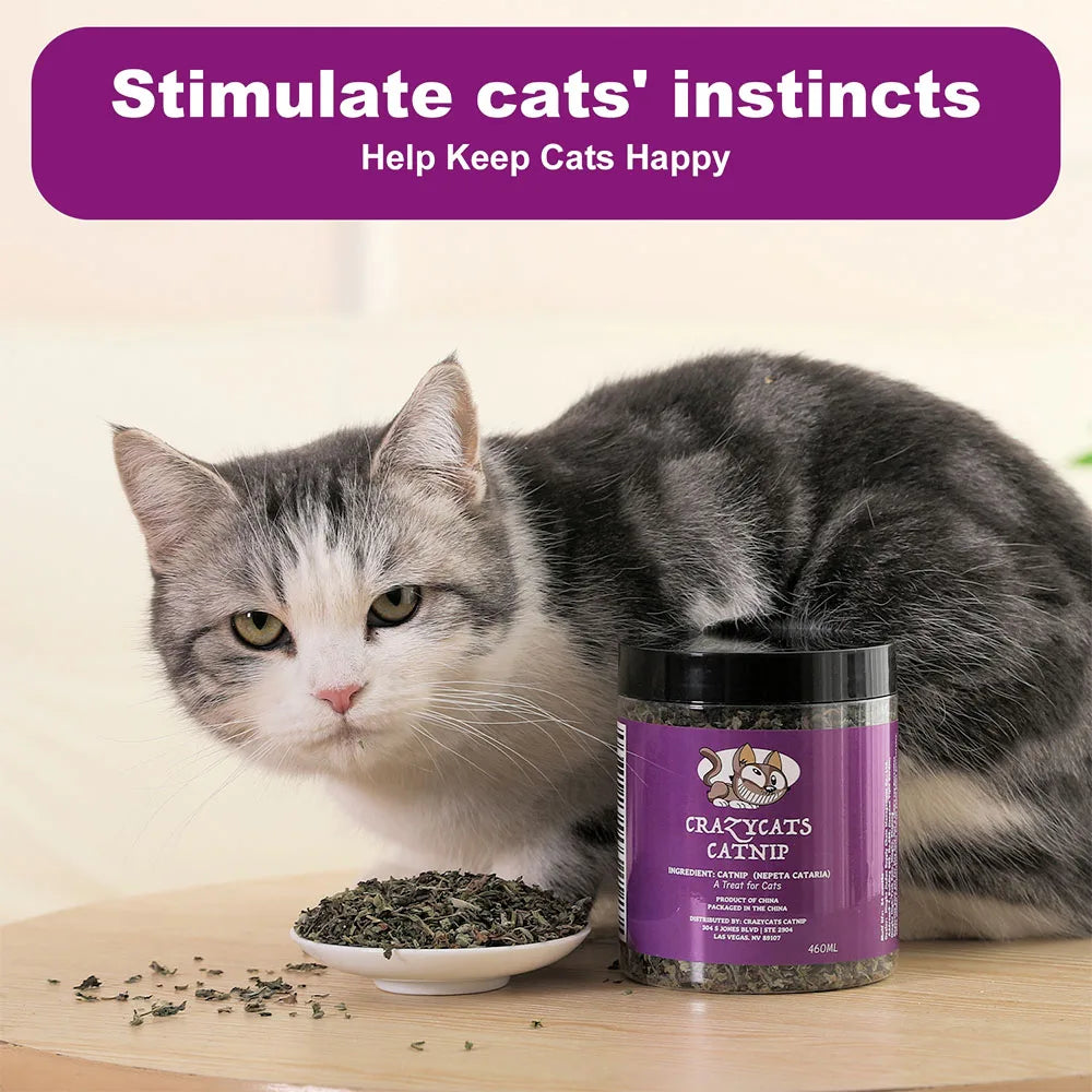 100% Natural Catnip and Pure Catnip for Your Furry Friend Taste Funny Cat Toy New Cat Toy Interactive Cat Toys Pet Supplies