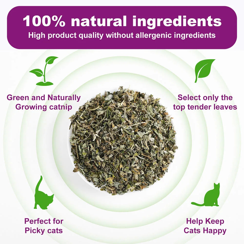 100% Natural Catnip and Pure Catnip for Your Furry Friend Taste Funny Cat Toy New Cat Toy Interactive Cat Toys Pet Supplies