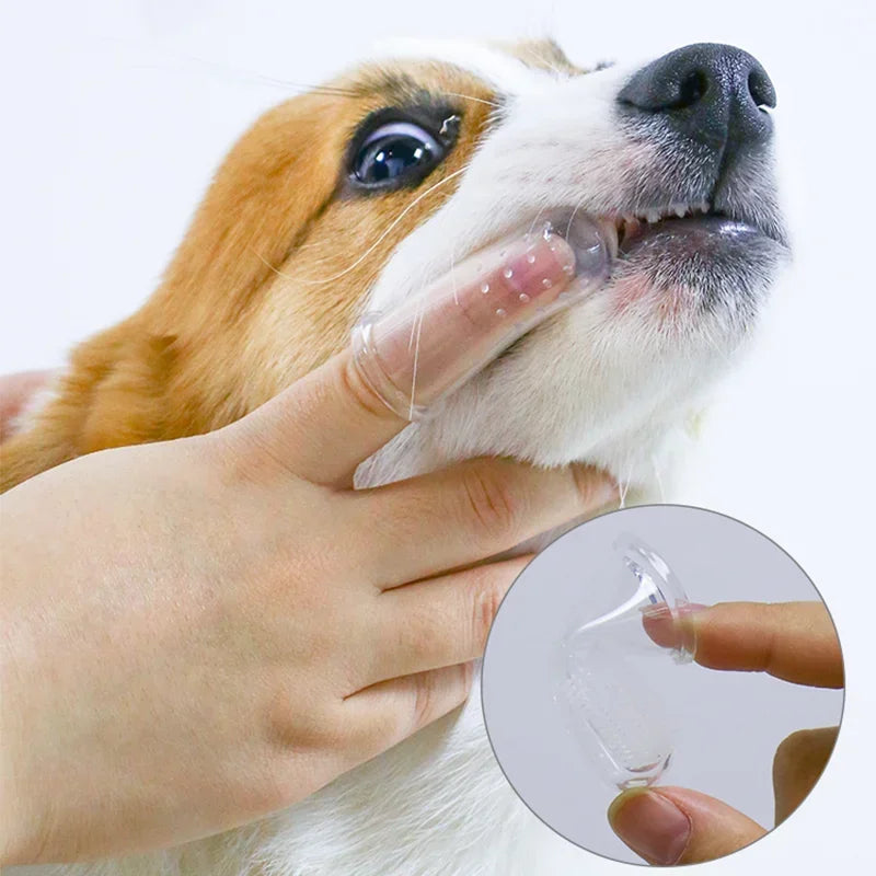 Portable Dog Water Bottle with Drinking Bowl