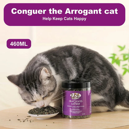 100% Natural Catnip and Pure Catnip for Your Furry Friend Taste Funny Cat Toy New Cat Toy Interactive Cat Toys Pet Supplies