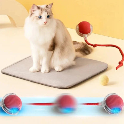 Rechargeable Automatic Rolling Ball Cat Toy – Fake Tail, Imitate Mouse, Electric Interactive for Cats & Dogs