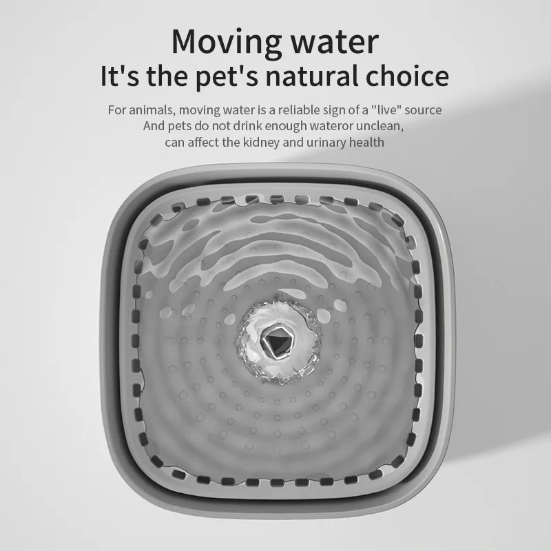 3L Cat Water Fountain Auto ERecirculate Filter Large Capacity Filtring Cat Water Drinker 1USB Electric Mute Cats Water Dispenser