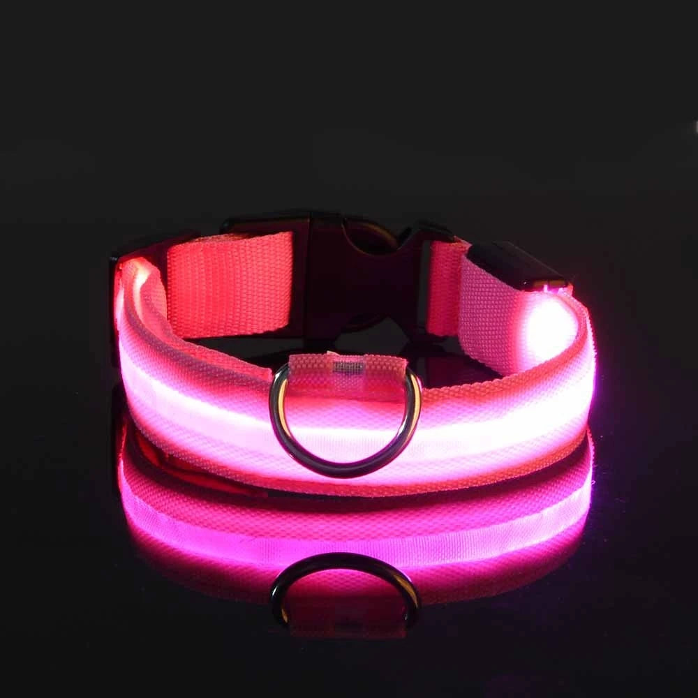 LED Glow-in-the-Dark Nylon Dog Leash for Night Safety