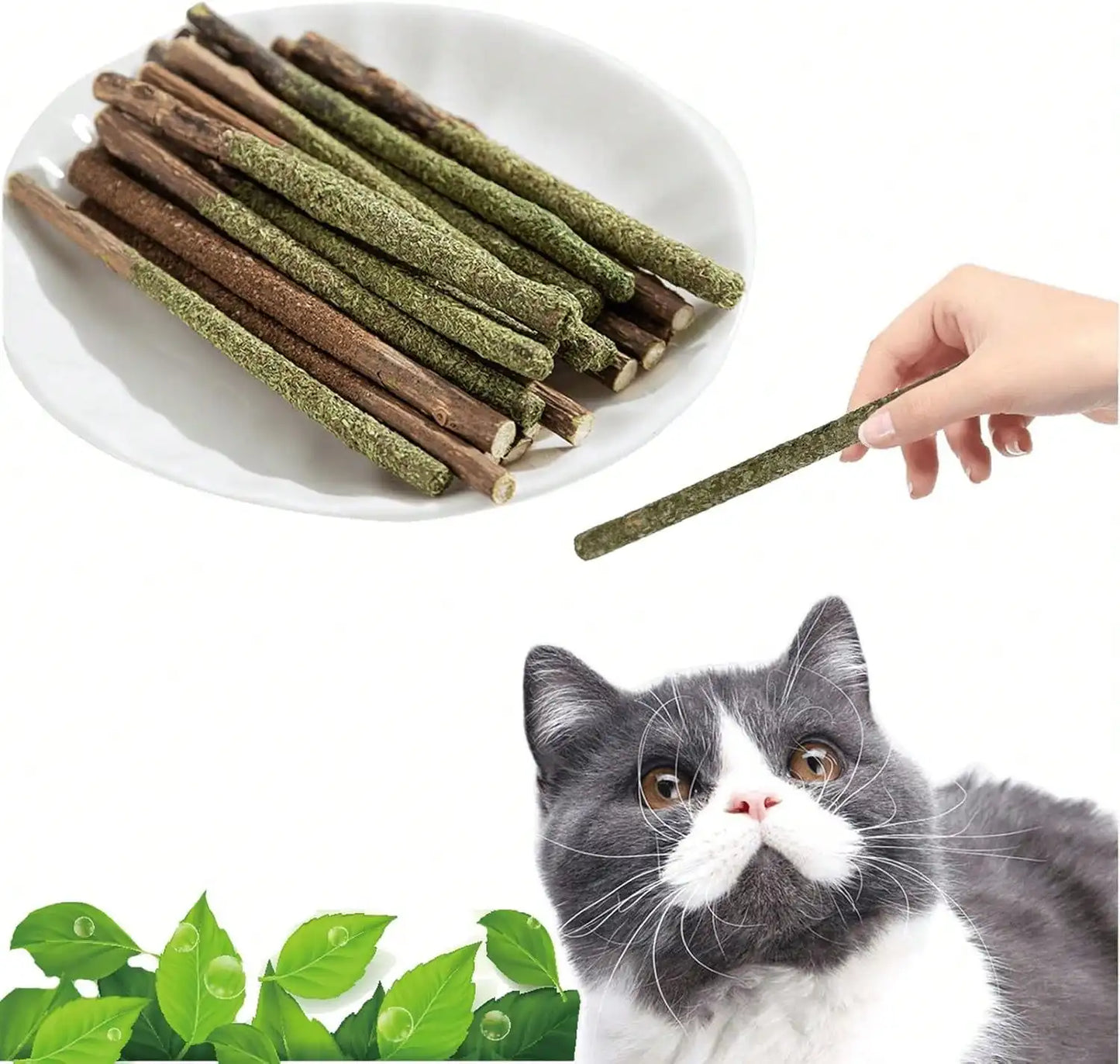 Maiguangta Natural Silvervine Catnip Chew Sticks (12 PC) - Edible Dental Chews For Cats &Amp; Kittens, Teething Relief Teeth Cleaning Toys