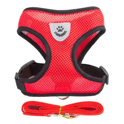 Adjustable Mesh Pet Harness with Leash, Polyester Vest Type Walking Strap for Small Medium Cats Dogs