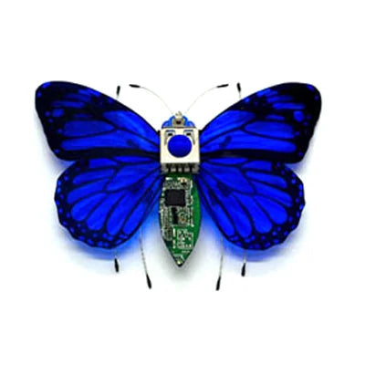 STEAM DIY Robotic Insects Science Invention Electronic Animal for School Competition Non-soldered DIY Kit Stem Toys Robot Animal