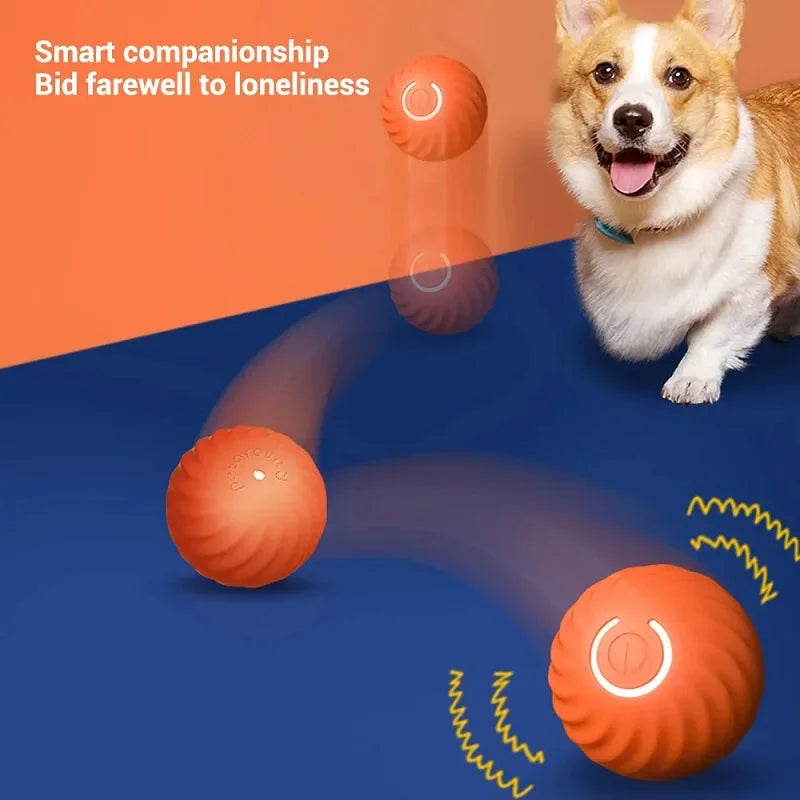 USB Rechargeable Automatic Rolling Ball Dog Toy