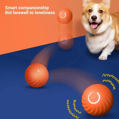 USB Rechargeable Automatic Rolling Ball Dog Toy